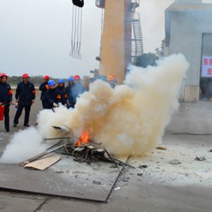 �طN�O���¹ʈ����{��̎��Ҏ��