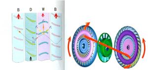 Һ��׃��������ϵ�y�������c����