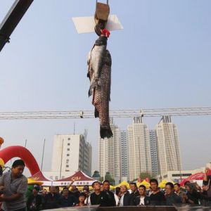 ���ݬF�����~�硱 ���ؙC����161���~�����