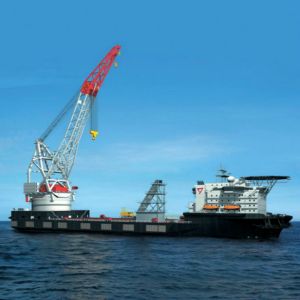 �����Ժ��\�������ش��đ���